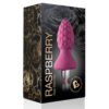 ROCKS-OFF - ASSBERRIES RASPBERRY PLUG ANAL - Imagen 5