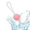 CALEXOTICS - SHE-OLOGY SET BOLAS KEGEL INTERCAMBIABLES - Imagen 3