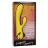 CALEXOTICS - SAN DIEGO SEDUCTION - Imagen 2
