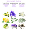 EYE OF LOVE - EOL PHR PERFUME FEROMONAS DELUXE 50 ML - MORNING GLOW - Imagen 3