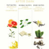 EYE OF LOVE - EOL PHR PERFUME FEROMONAS 10 ML - AFTER DARK - Imagen 3