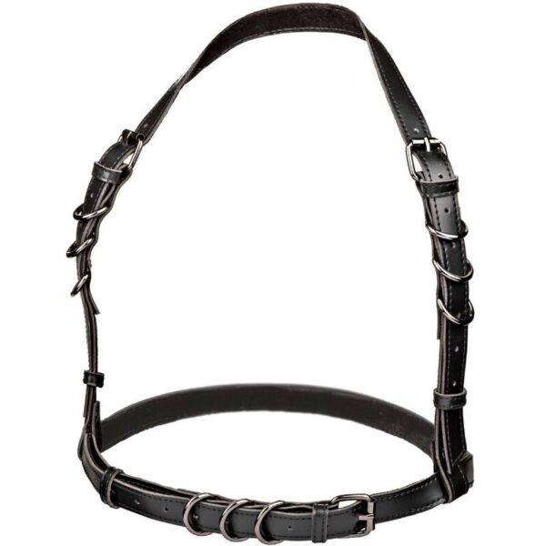 CALEXOTICS - EUPHORIA ARNÉS HATLER CON HEBILLA TALLA GRANDE NEGRO - Imagen 4