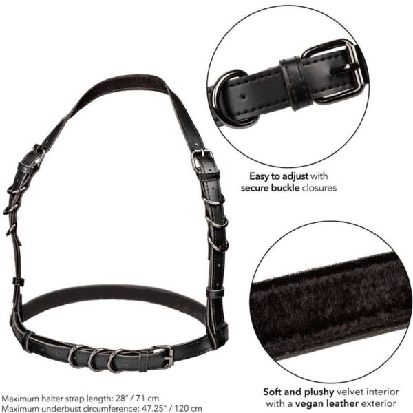 CALEXOTICS - EUPHORIA ARNÉS HATLER CON HEBILLA TALLA GRANDE NEGRO - Imagen 5