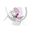 FUN FACTORY - SMARTBALLS DUO BOLAS PELVICAS BLANCO / LILA PASTEL - Imagen 3