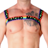 MACHO - ARNÉS DOBLE PRIDE LIMITED - Imagen 5