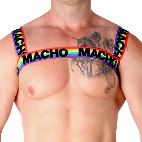 MACHO - ARNÉS DOBLE PRIDE LIMITED - Imagen 5