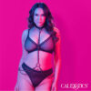 CALEXOTICS - EUPHORIA COLLAR HALTER Y CORREA CON CADENA TALLA PLUS - Imagen 4