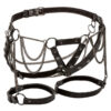 CALEXOTICS - EUPHORIA ARNÉS DE MUSLO CON CADENAS PREMIUM TALLA PLUS - Imagen 2