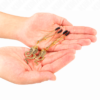 KINK - PINZAS PARA PEZONES CON COLGANTE DE COBRA 6 CM - Imagen 3