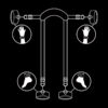 FETISH SUBMISSIVE - POSICIÓN MASTER CON 4 ESPOSAS CON FORRO DE NEOPRENO - Imagen 4