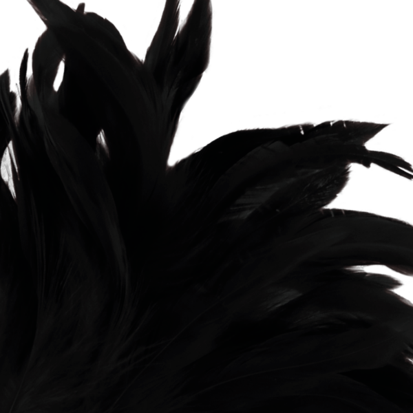 DARKNESS - PLUMA ESTIMULADORA NEGRO LUX - Imagen 3