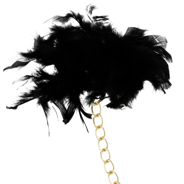 COQUETTE CHIC DESIRE - ESPOSAS DELUXE - Imagen 3